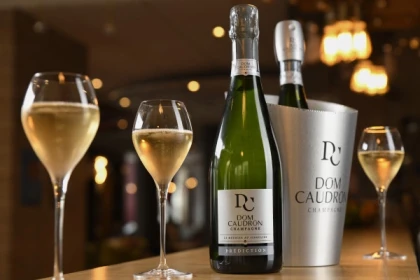 Les Racines de Dom Caudron (Visite en Anglais) - Exploregion