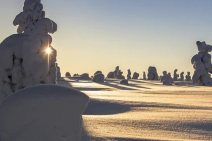 Raquettes à neige découverte du Gaschney - Exploregion
