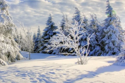 Raquettes à neige découverte du Rossberg - Exploregion