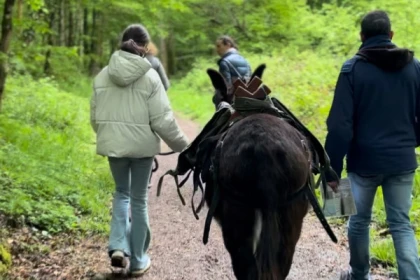 Sur Les Traces Du Pic Noir 1h30 (3 Km) - Exploregion