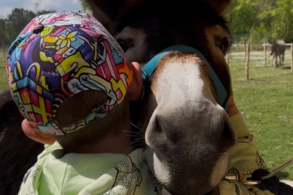 Sur Les Traces Du Pic Noir 1h30 (3 Km) - Exploregion