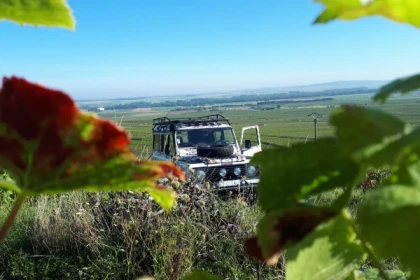 Survol du vignoble balade et dégustations / ½ journée. - Exploregion