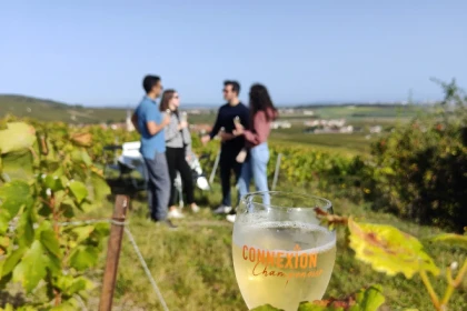 Survol du vignoble club Prestige balade dégustation 4h00 - Exploregion