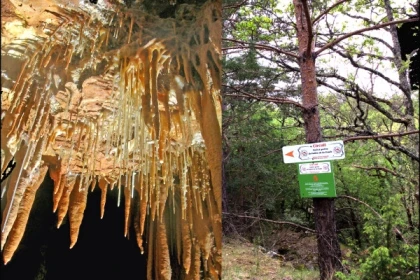 Chasse au trésor dans grotte et forêt - Exploregion