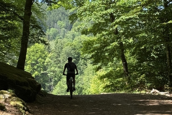 5 jours - séjour vélo gravel-VTT dans les Hautes Vosges - Exploregion