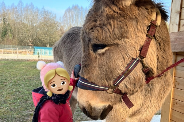 Ânes et tout-petits  (0 - 4ans) - Exploregion