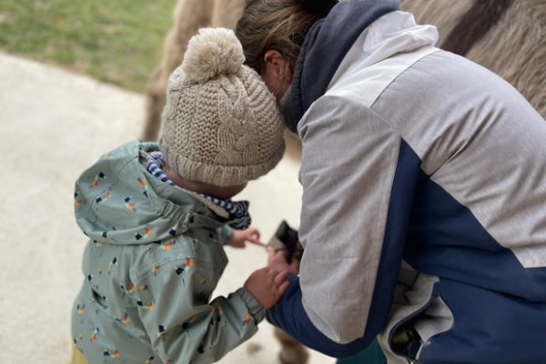 Ânes et tout-petits  (0 - 4ans) - Exploregion