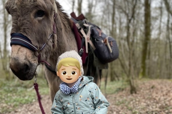Ânes et tout-petits  (0 - 4ans) - Exploregion