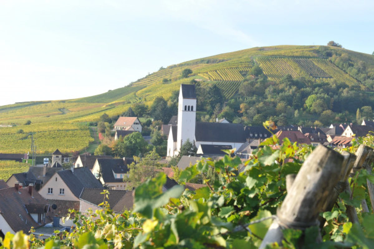 Apéro Planchette Alsacien et les secrets du vigneron ! - Exploregion