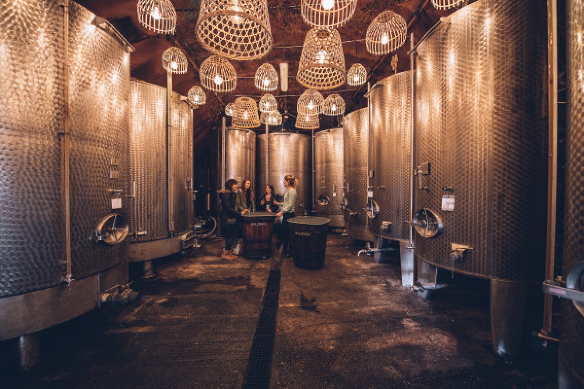 Apéro Planchette Alsacien et les secrets du vigneron ! - Exploregion