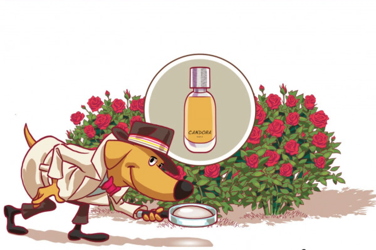 Atelier parfum pour enfants - Français - Exploregion