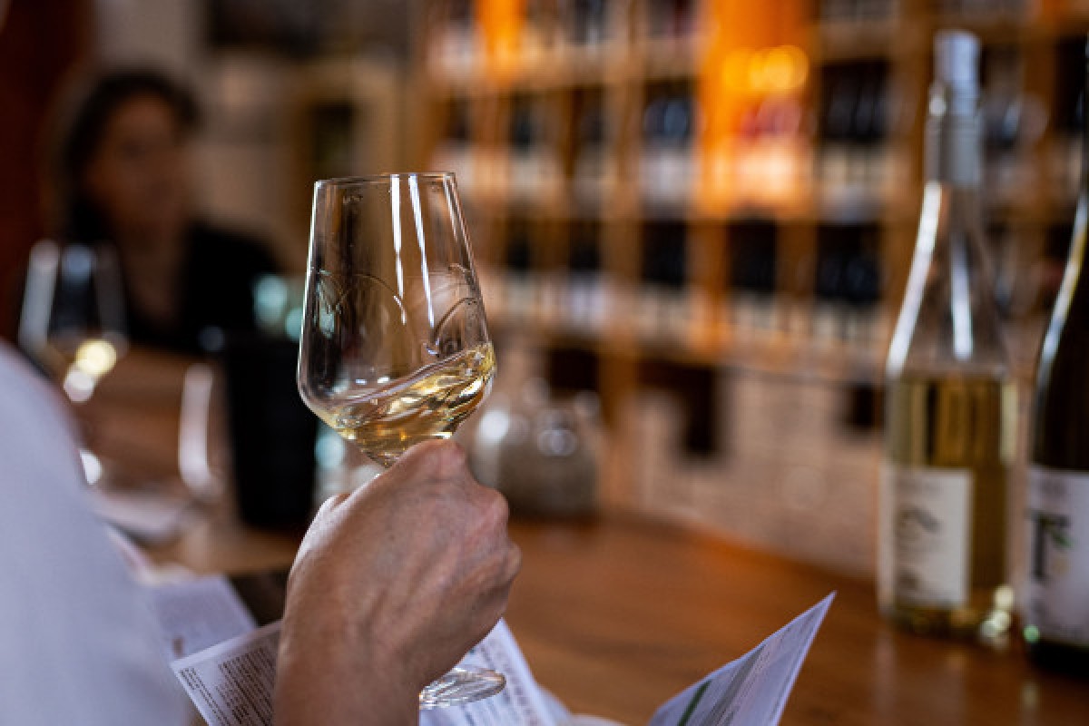 ATELIER SENSORIEL ET DEGUSTATION LUDIQUE - Exploregion