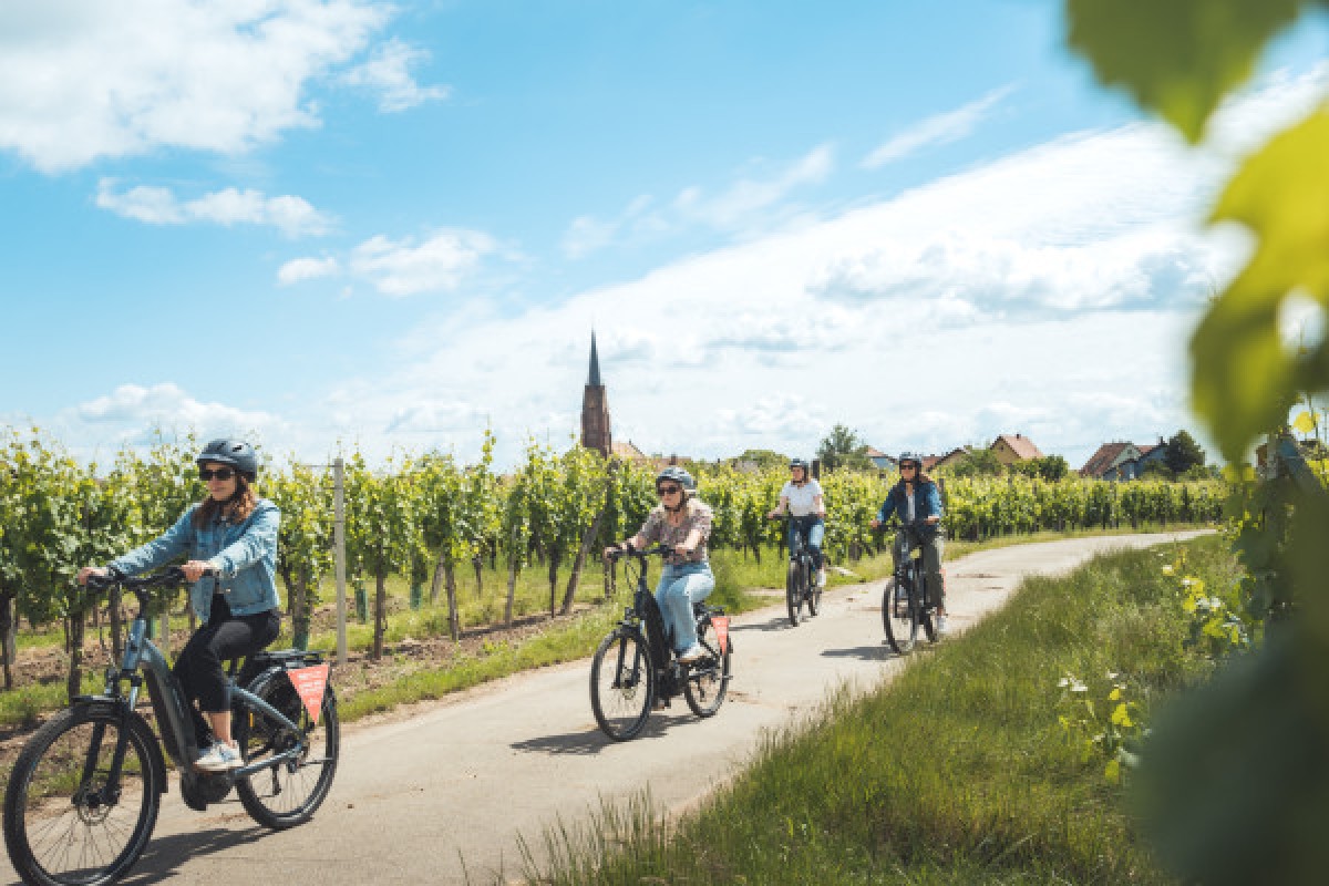 Balade à vélo sur la Route des Vins - Exploregion
