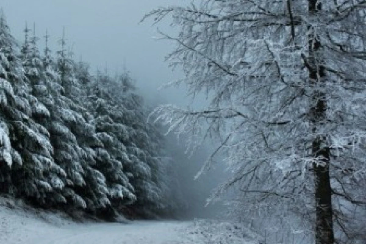 Balade en raquettes à neige Storkenkopf - Exploregion