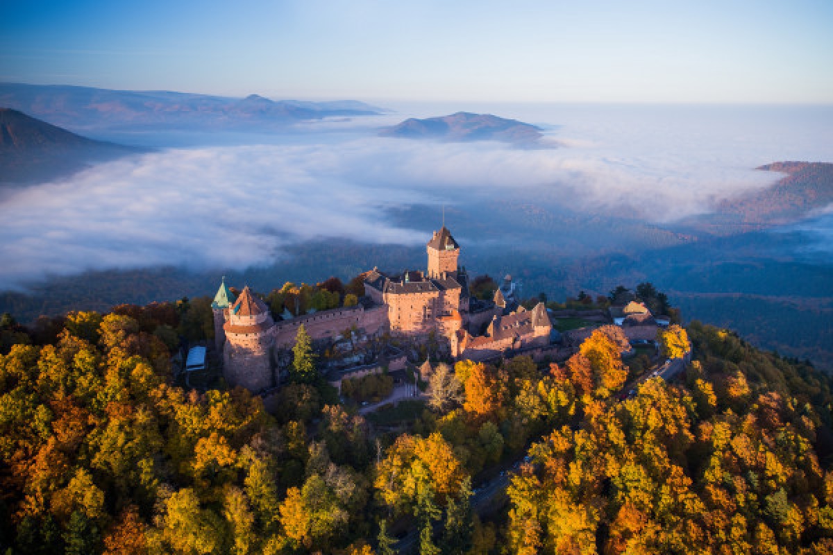 Billet d'entrée coupe-file  Château du Haut-Koenigsbourg - Exploregion