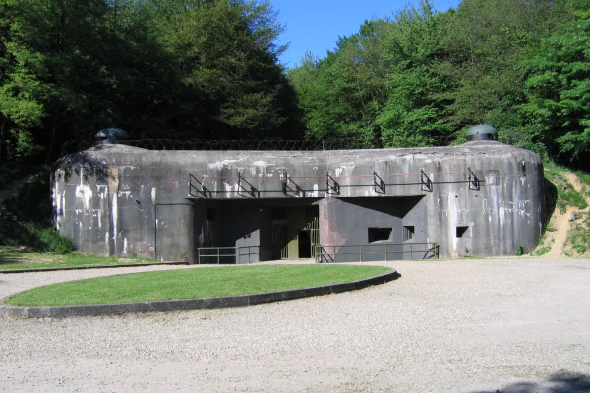 Billet d'entrée Ligne Maginot "Fort de Schoenenbourg" - Exploregion
