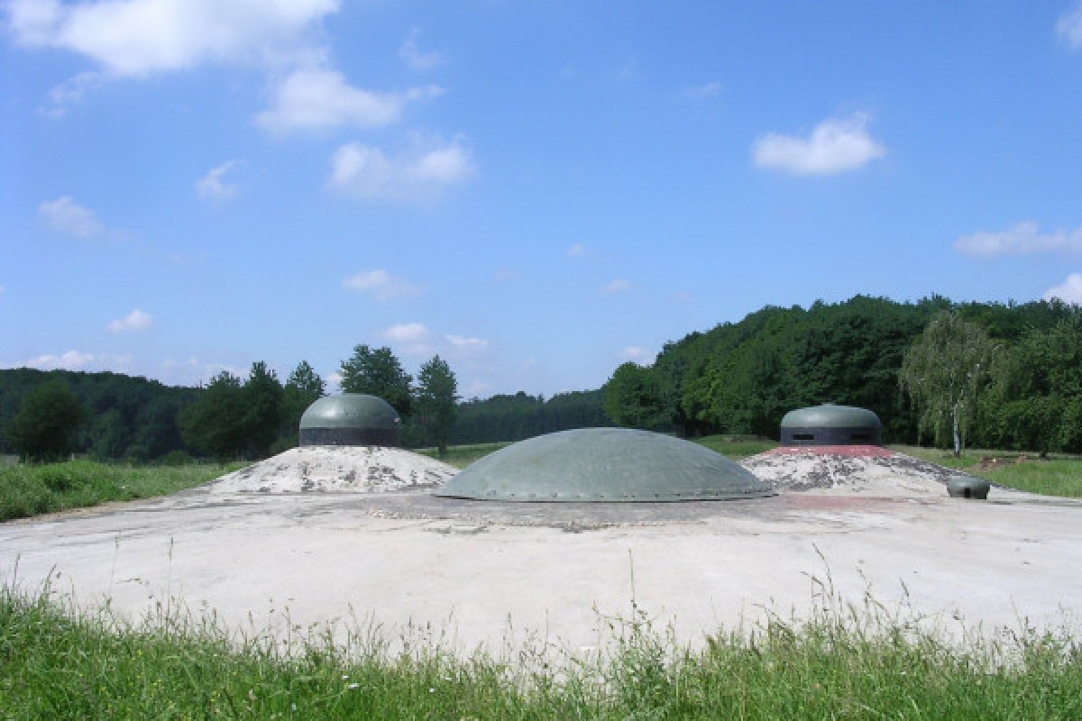 Billet d'entrée Ligne Maginot "Fort de Schoenenbourg" - Exploregion