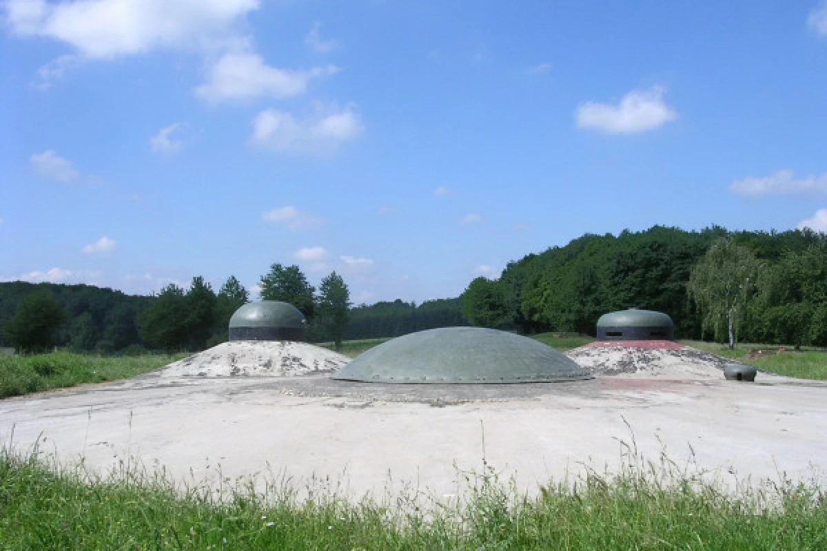 Billet d'entrée Ligne Maginot "Fort de Schoenenbourg" - Exploregion