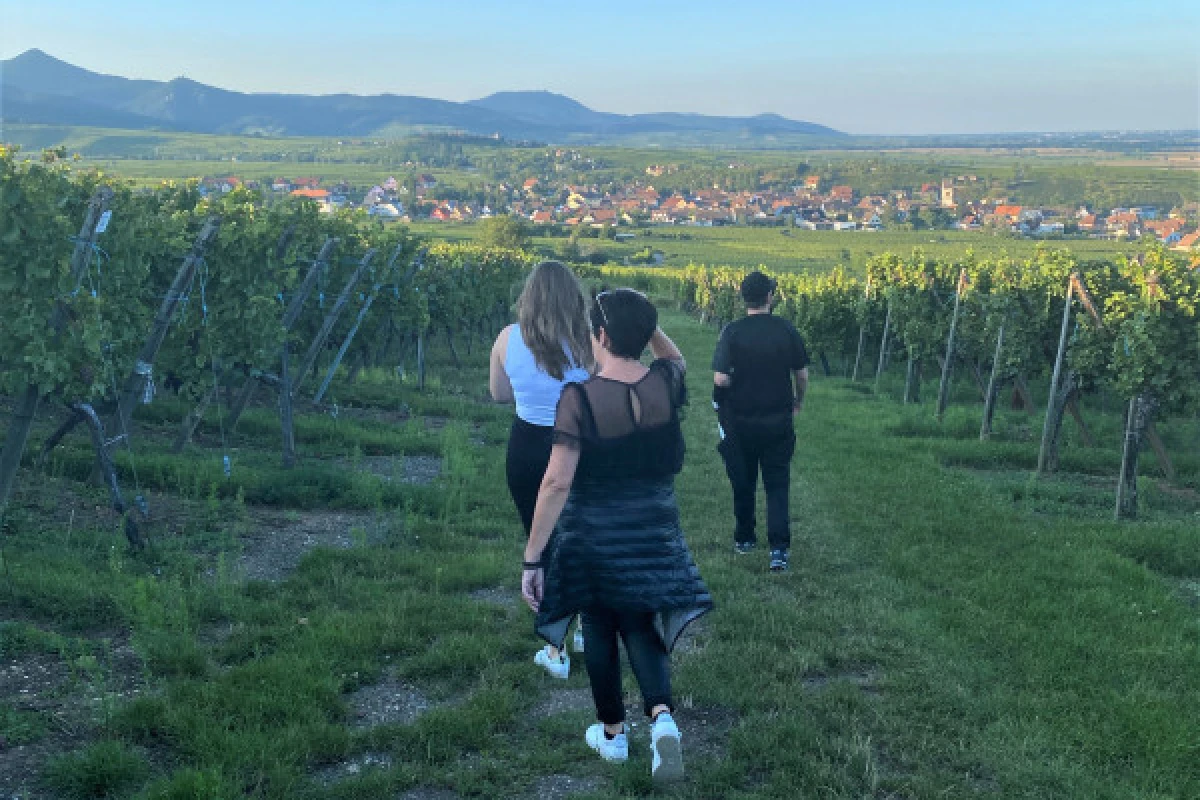 Chasse au Trésor dans le vignoble du Marckrain - Exploregion