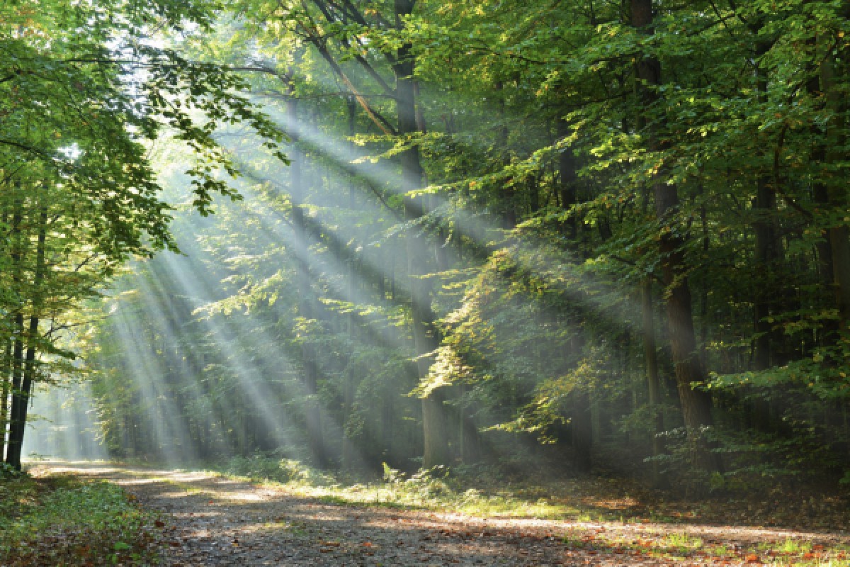 CHASSE AUX TRÉSORS DIGITALE À PIED OU À VÉLO - Exploregion