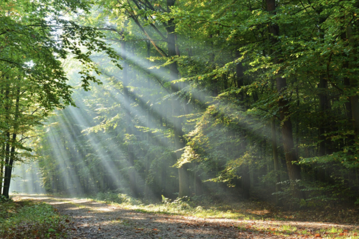 CHASSE AUX TRÉSORS DIGITALE À PIED OU À VÉLO - Exploregion