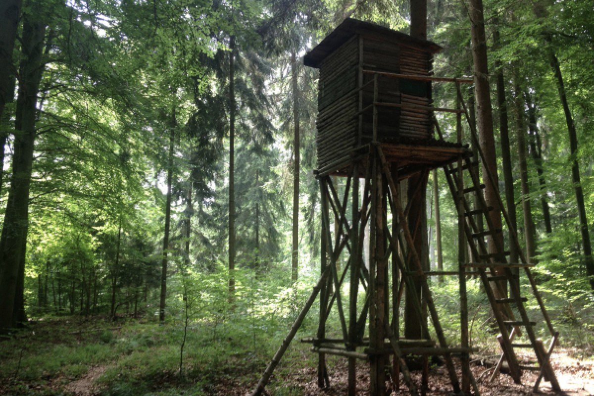 CHASSE AUX TRÉSORS DIGITALE À PIED OU À VÉLO - Exploregion