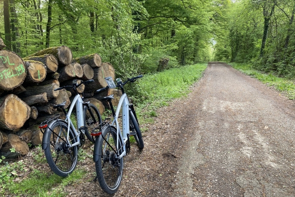 City E-Bike : idéal pour les passionnés de nature - Exploregion