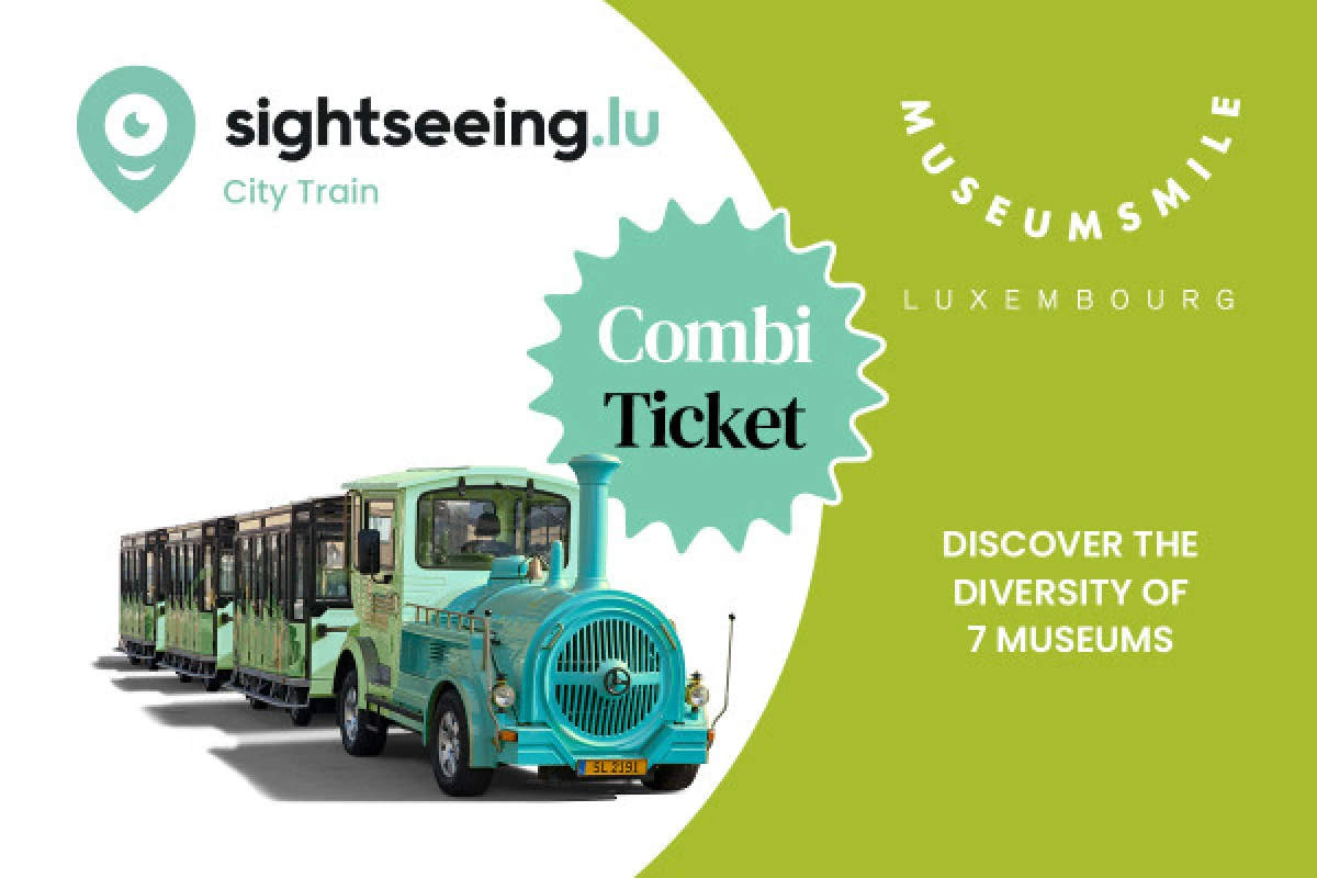 Combi-Ticket: City Train + Pass 7 musées de la ville - Exploregion