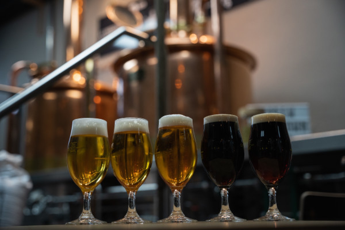 Cours de brassage - De Brauatelier (max.15 pers) - Exploregion