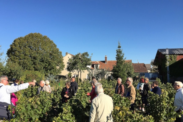 Visite et dégustation Pinot&Rouges Davenne en Anglais - Exploregion