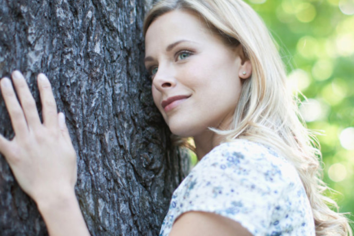 Découverte Sylvothérapie dans les Vosges - Exploregion