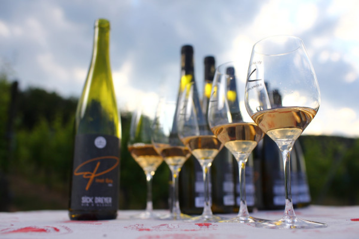 Dégustation accord mets et vins - Exploregion