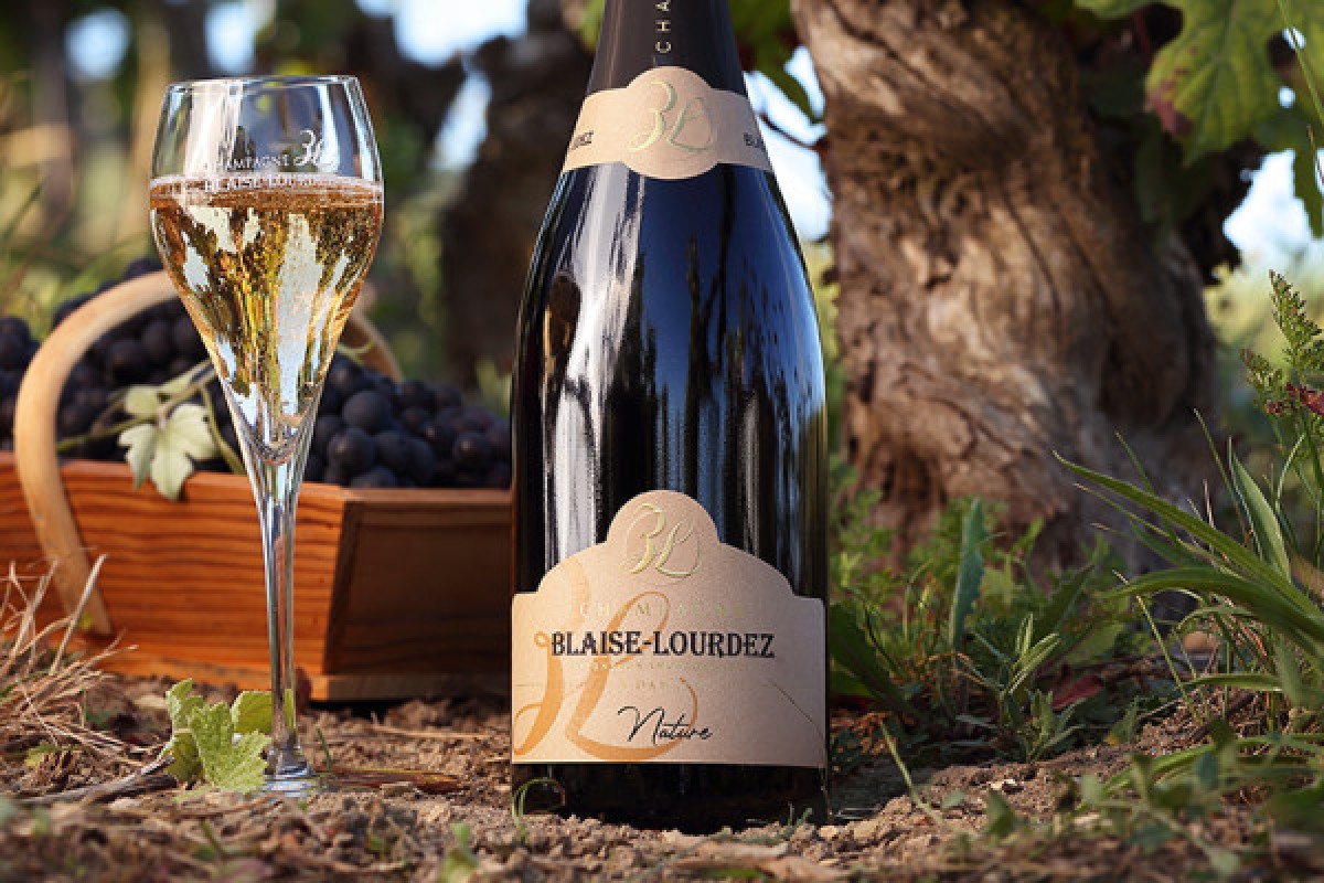 Dégustation au Champagne BLAISE LOURDEZ - Exploregion