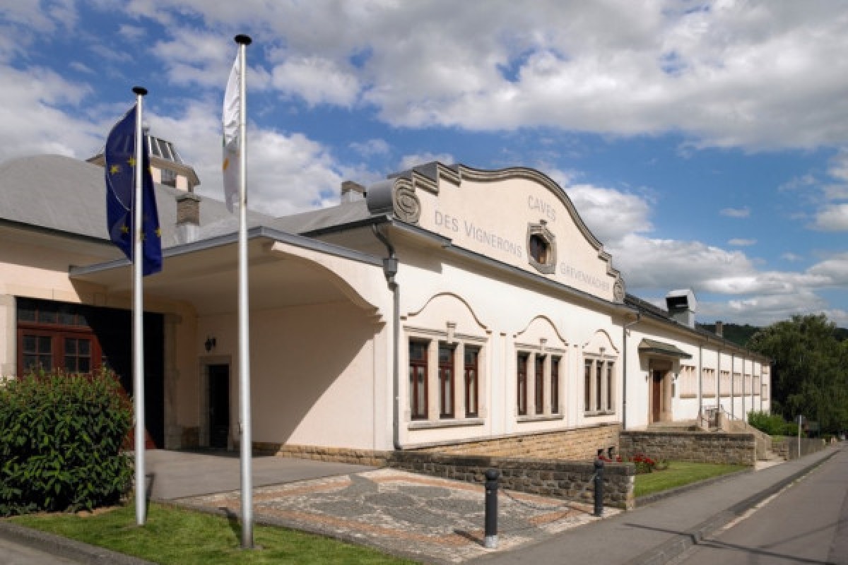 Dégustation - Caves des vignerons de Grevenmacher - Exploregion