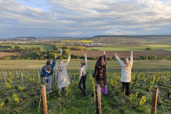 Dégustation de champagne, balade panoramique, vignoble - Exploregion