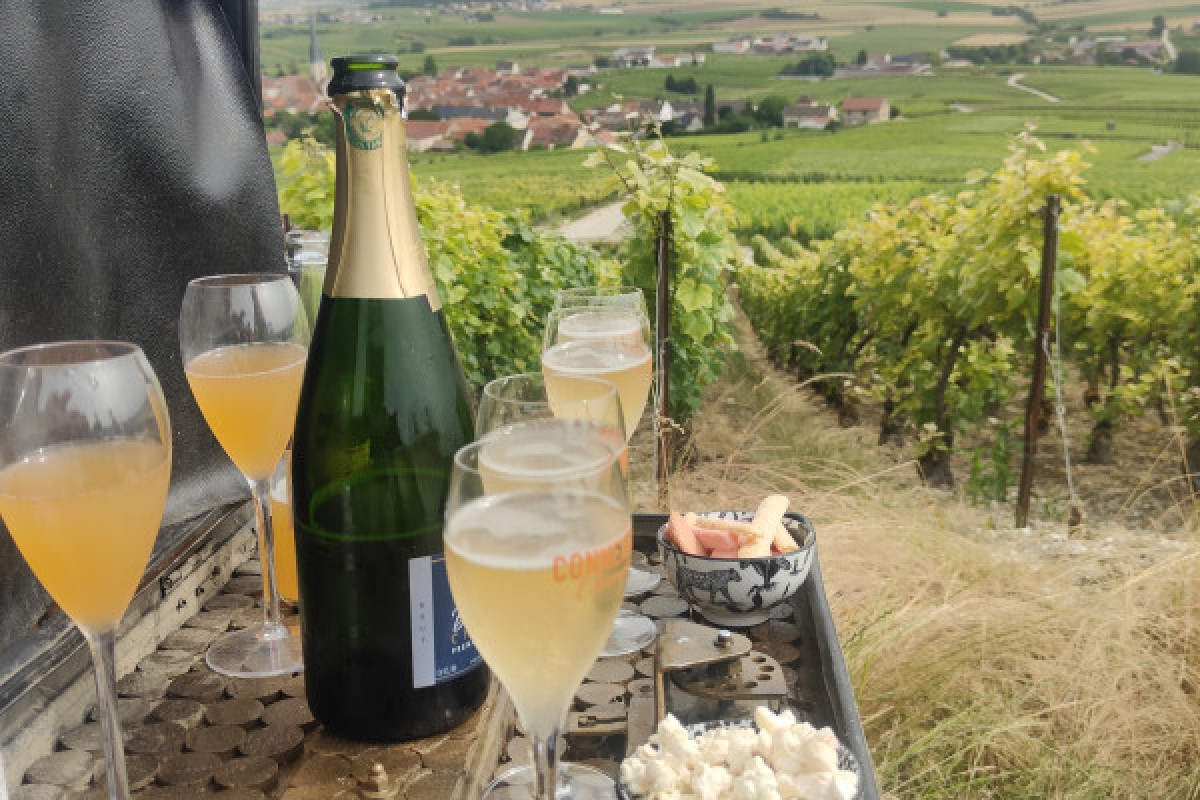Dégustation de champagne, balade panoramique, vignoble - Exploregion