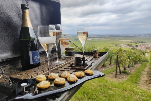 Dégustation de champagne, balade panoramique, vignoble - Exploregion