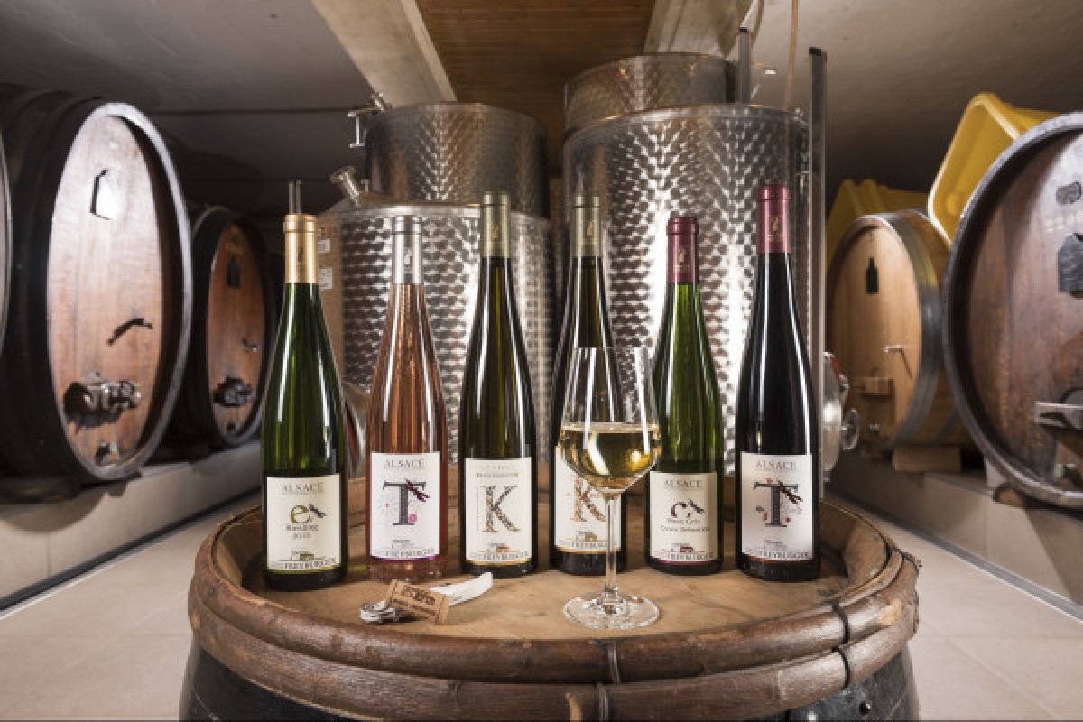 DEGUSTATION GOURMANDE VIN ET CHOCOLAT ! - Exploregion