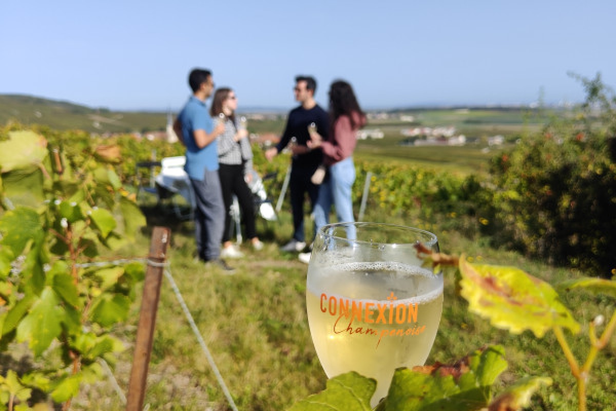 Dégustation Millésimé et balade panoramique, vignoble - Exploregion