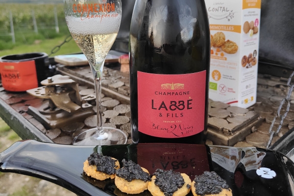 Dégustation Millésimé et balade panoramique, vignoble - Exploregion