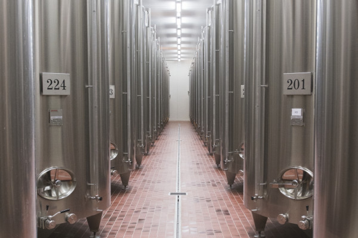 Devenez Chef de Cave d'un Jour : L'Art de l'Assemblage - Exploregion