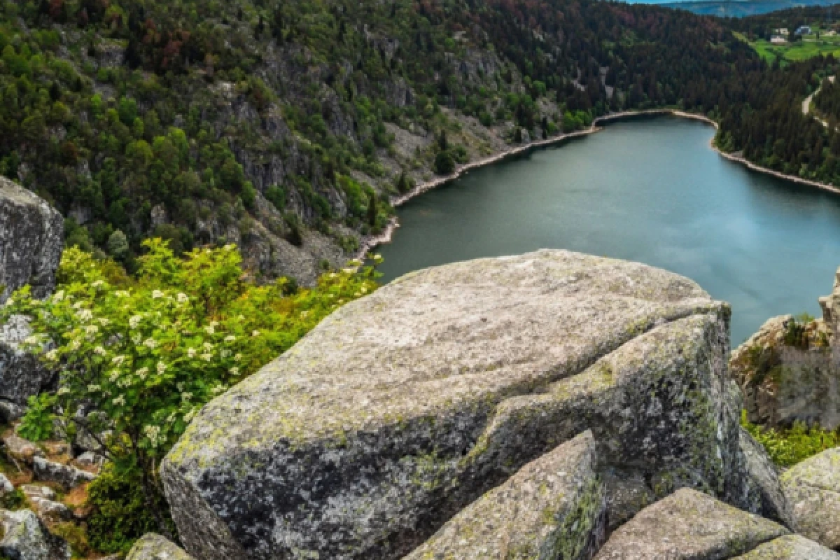 Balade découverte du Lac Blanc - Exploregion