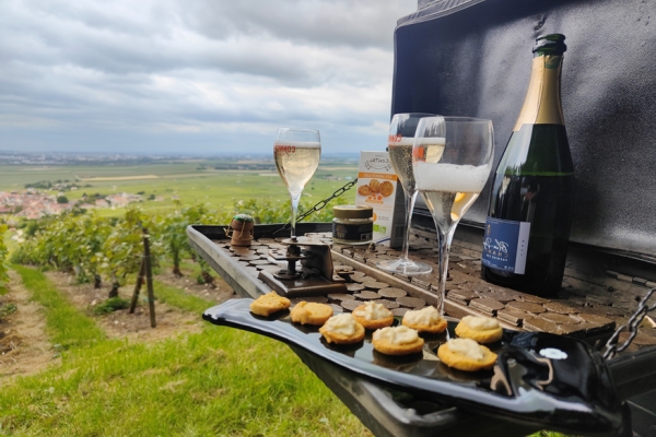 Excursion d’un jour en Champagne : visite et dégustation - Exploregion