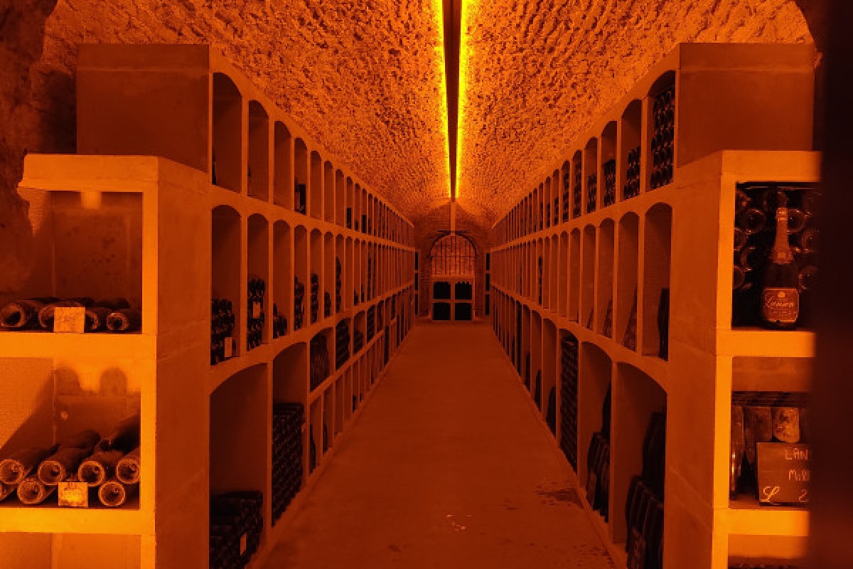 Excursion d’un jour en Champagne : visite et dégustation - Exploregion