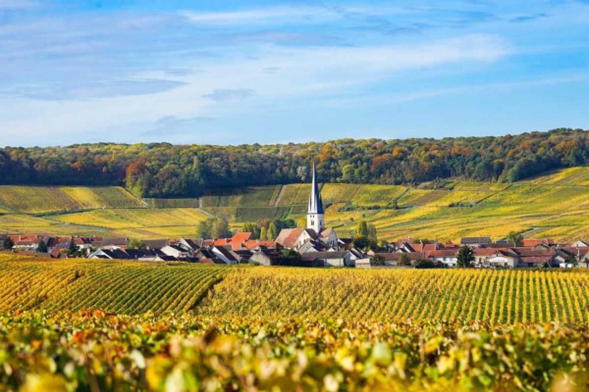 Excursion d’un jour en Champagne : visite et dégustation - Exploregion