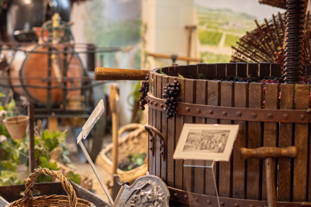 EXPÉRIENCE CHAMPAGNE  - Exploregion