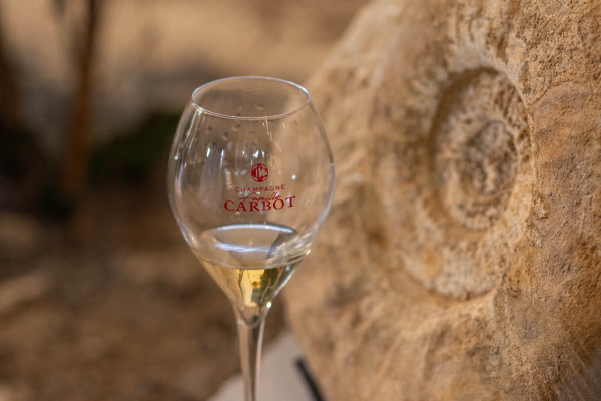 EXPÉRIENCE CHAMPAGNE  - Exploregion