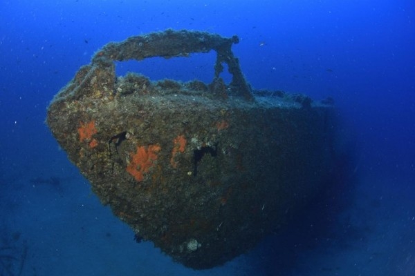 Exploration plongée de nuit - Exploregion