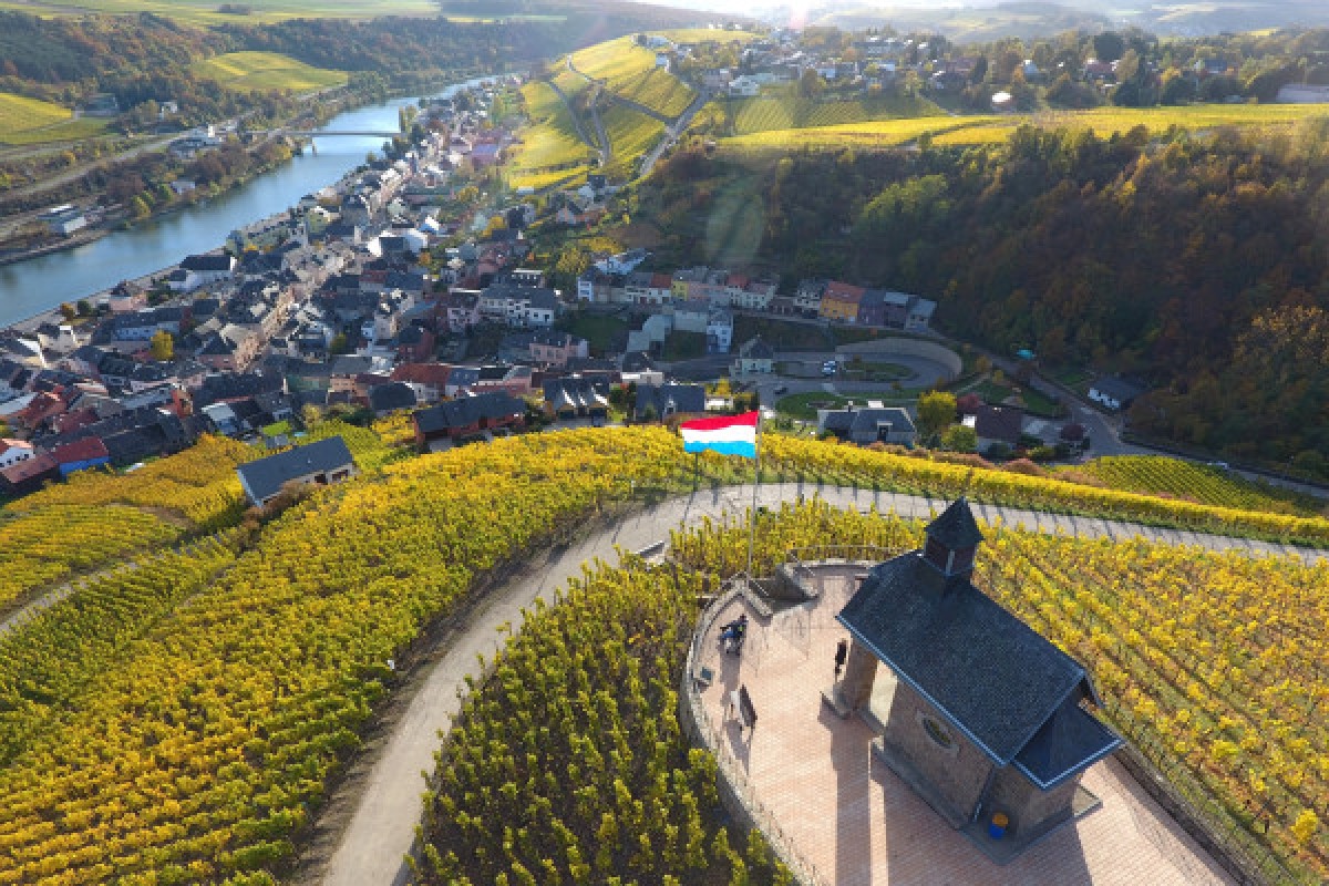 Explorez la Moselle enchantée et ses vignobles lors d'une excursion journée - Exploregion