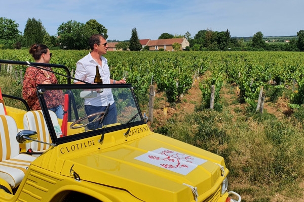 Balade des Grands Crus en e-Mehari et dégustation de Chablis - Exploregion